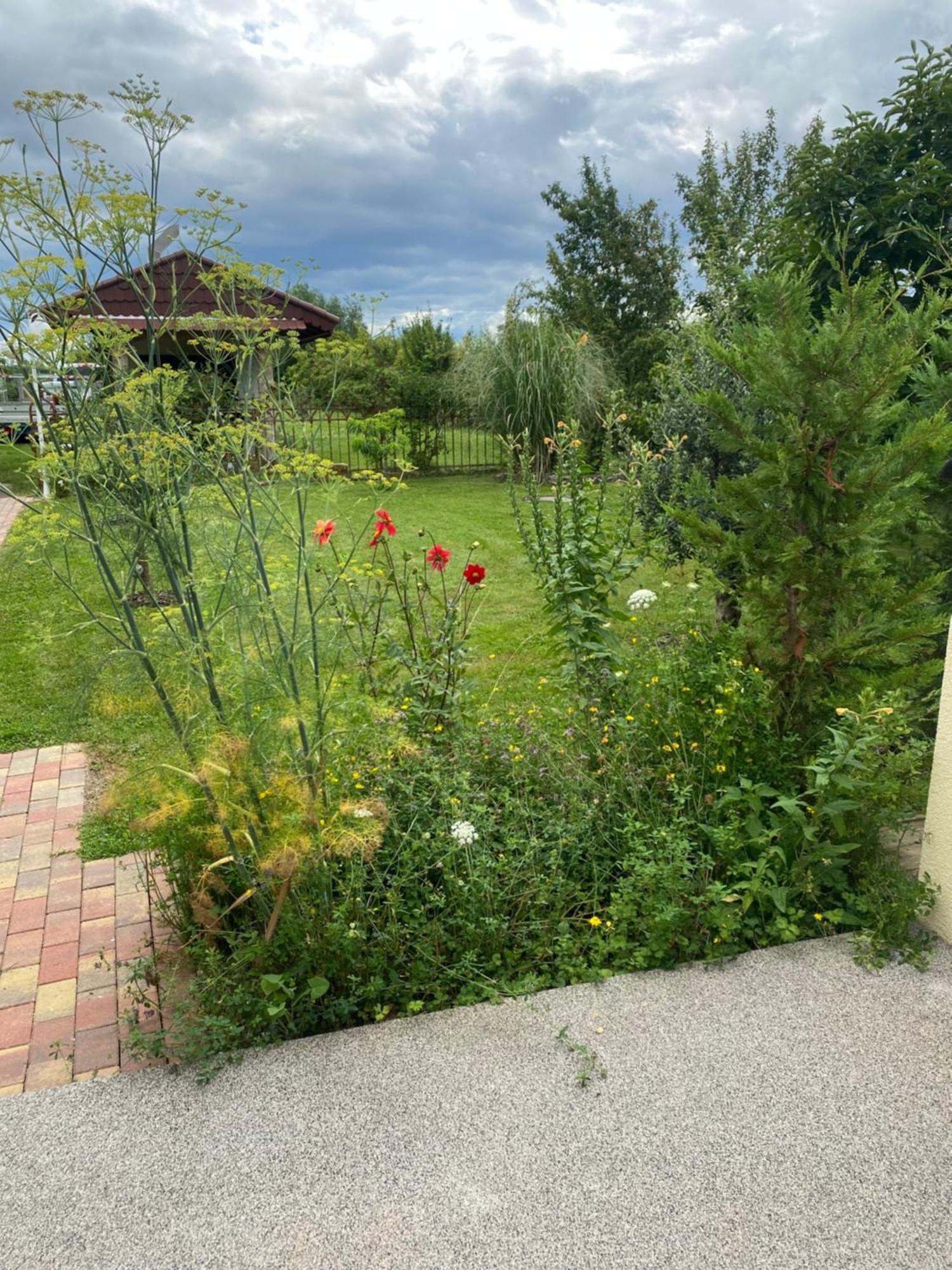 Ferienwohnung An Der Unditz 2 Neuried  Екстер'єр фото